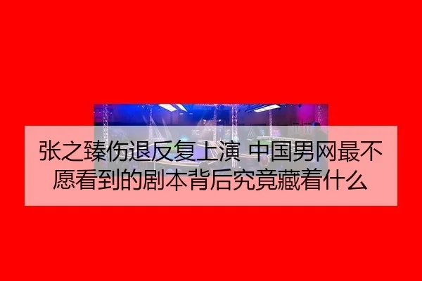 zhang-zhi-zhen-shang-tui-fan-fu-shang-yan-zhong-guo-nan-wang-zui-bu-yuan-kan-dao-de-ju-ben-bei-hou-jiu-jing-cang-zhe-2-773.jpg